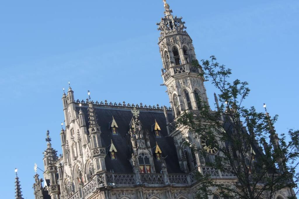 Vakantiewoning Zoetebeek オーデナールデ エクステリア 写真