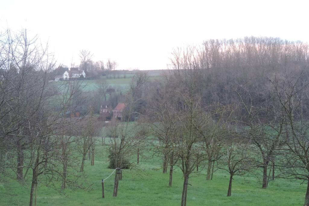 Vakantiewoning Zoetebeek オーデナールデ エクステリア 写真